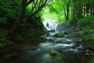 Obraz premium 夏の気仙大滝