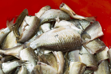 cooking fish for frying