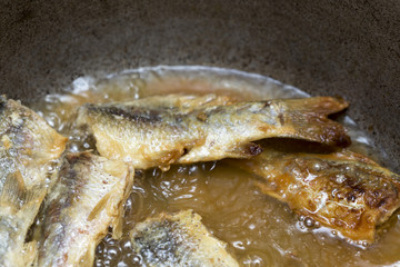 Fried fish in the kitchen