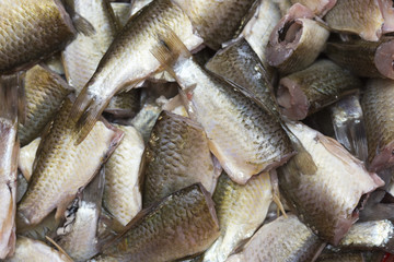 cooking fish for frying