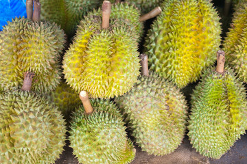 Durian fruit for sale