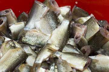 cooking fish for frying