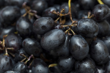 black grape macro