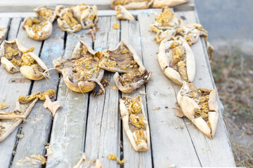 dried melon