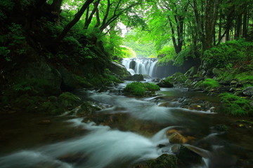 Obraz premium 夏の気仙大滝