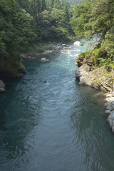 Obraz premium 根尾川−01