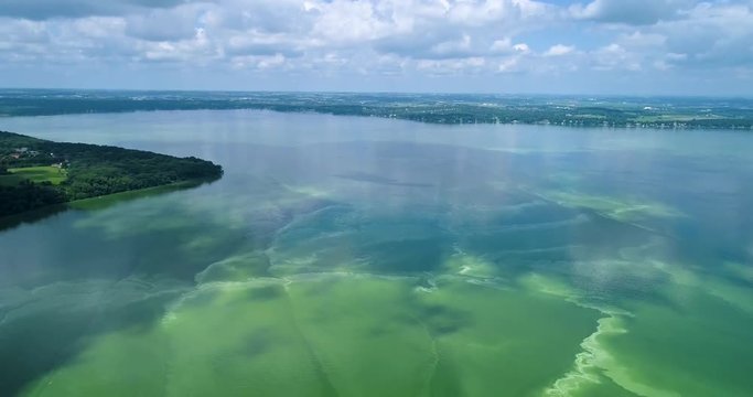 Drone over algal bloom lake in Madison, Wisconsin