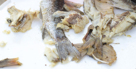 fried fish in nature, while fishing