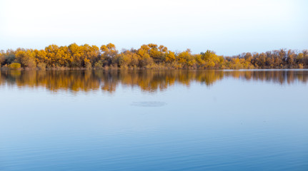 Landscape by the lake with a blue sky, yellow trees on the water with reflection