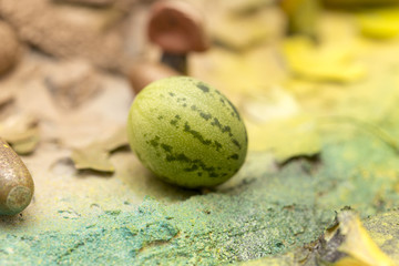 handmade from the autumn theme for the kindergarten