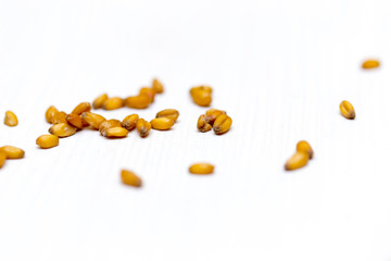 wheat grain scattered on a white background