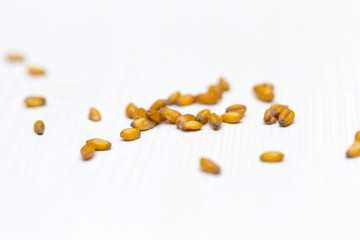 wheat grain scattered on a white background