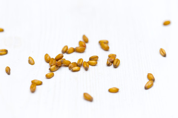 wheat grain scattered on a white background