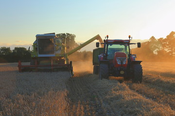 Combine harvester unloading wheat in agricultural field in Somerset