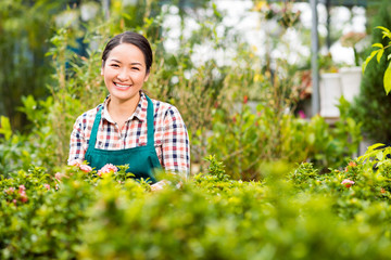 Portrait of pretty Vietnamese woman gardening in her backyard