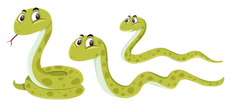 Snake Cartoon Images – Browse 40,749 Stock Photos, Vectors, and Video |  Adobe Stock