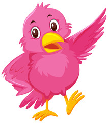 A cute pink bird