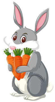 A rabbit holding carrot