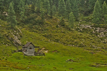 Traditional wooden shepherd huts on high alpine meadow in slovenian part of Julian Alps