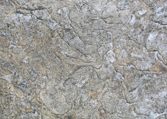Abstract rough cement wall texture, Modern style wall for fence house.
