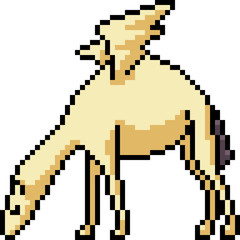 Fototapeta premium vector pixel art pegasus camel