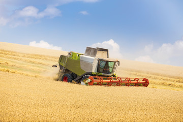 modern harvester during harvest of wheat on sunny day