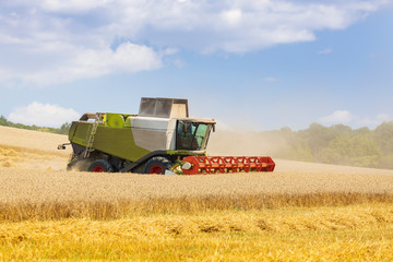 modern harvester during harvest of wheat on sunny day