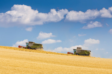 two harvesters during harvest on sunny day