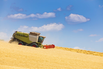 modern harvester during harvest of wheat on sunny day