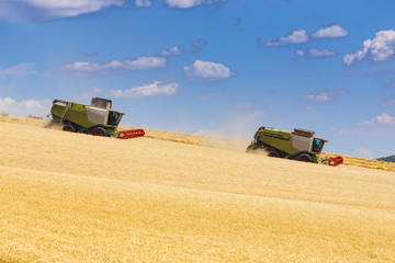 two harvesters during harvest on sunny day