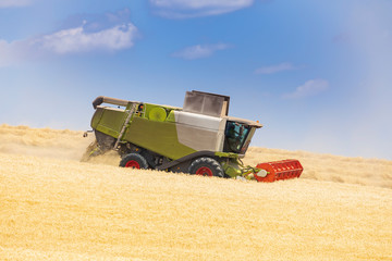 Obraz premium modern harvester during harvest of wheat on sunny day