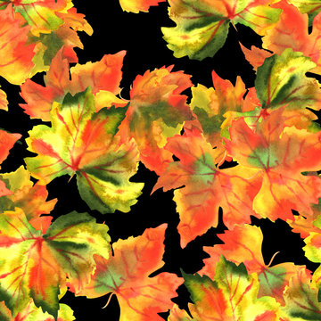 A seamless pattern of watercolour autumn grape vine leaves on a black background
