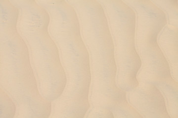 Sand on the beach as background