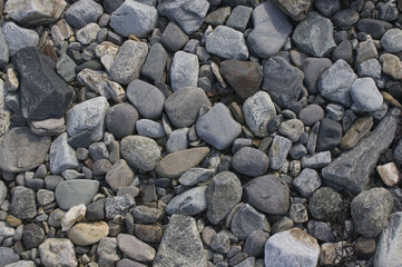 stones on the shore