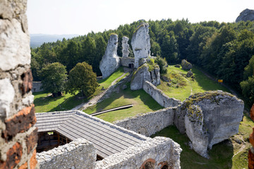 Malownicze skały wapienne w sąsiedztwie zamku w Ogrodzieńcu - obrazy, fototapety, plakaty