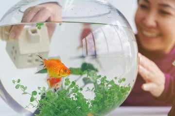 A woman's hand is decorating the aquarium in a fishbowl as a hobby.