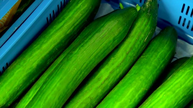 Kameraschwenk &uuml;ber eine Kiste gef&uuml;llt mit Gurken