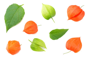 red and green physalis fruit isolated on white background. top view