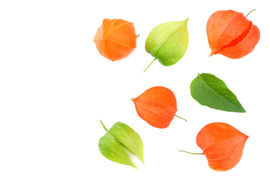 red and green physalis fruit isolated on white background. top view