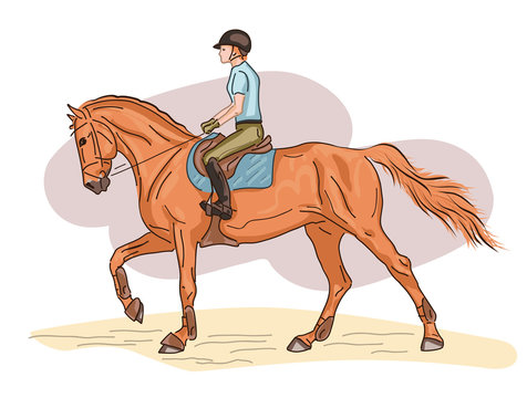 A vector illustration of a rider cantering on a horse.