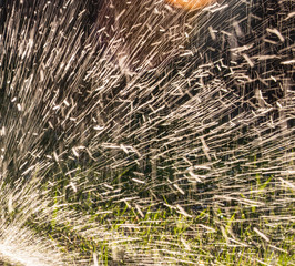 Splashing water to water the lawn as a background