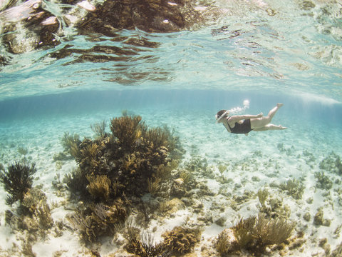 Woman snorkeling underwater, Grand Cayman, Cayman Islands