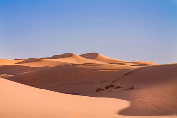 Fototapeta na wymiar The cave dunes in the Sahara Desert. Africa, Morocco