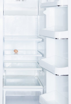 Brown egg in open, empty white refrigerator