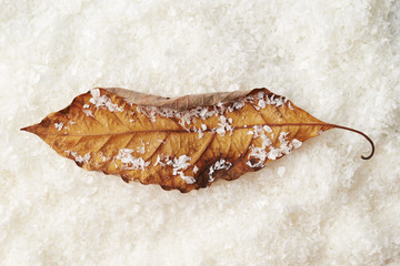 Christmas decoration 