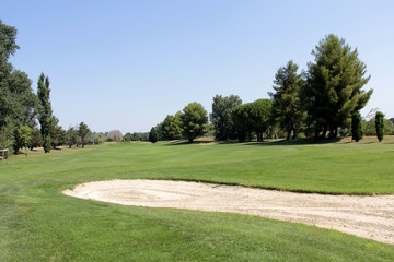 Fototapeta premium pole golfowe