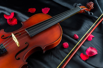 Fototapeta premium Violin and Rose on black background