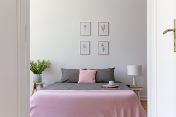 A view through an open door into a pastel bedroom interior with ashy bedding and rosy blanket on a double bed. Nature illustrations on the wall. Real photo.