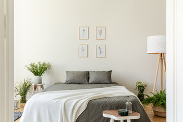 An eco friendly pastel bedroom interior with gray linen and pillows and vanilla blanket on a double bed. Bunches of wild flowers in vases around the bed. Nature illustrations on the wall. Real photo