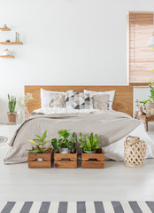 Real photo of a cozy bedroom interior with a double bed, plants in wooden boxes and empty wall in the background. Place your graphic